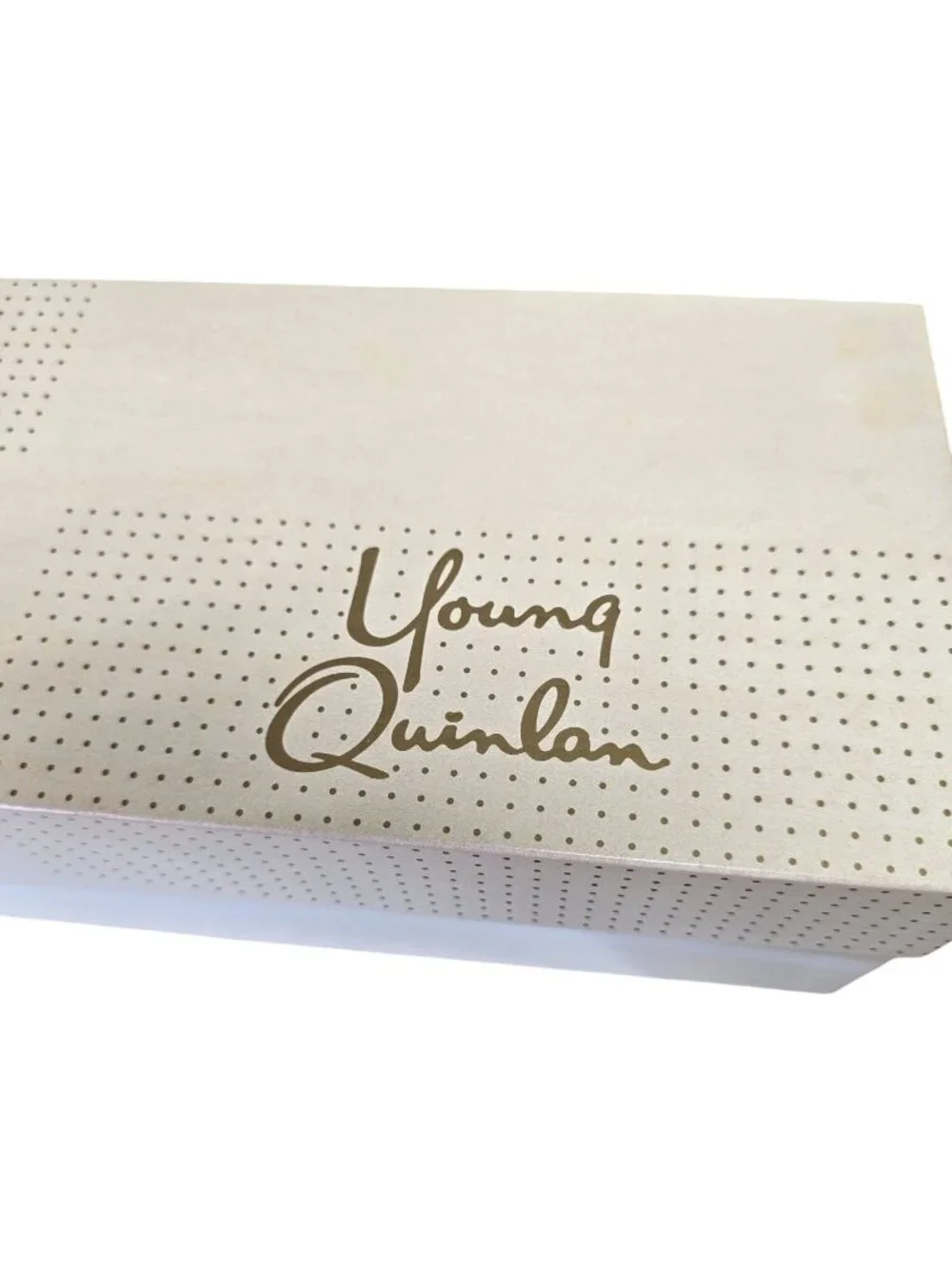 Vintage Young & Quinlan Dept Store Box Minneapolis Advertising 13 x 7